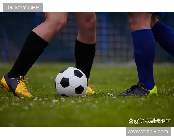 辛达卡拉与本菲卡比赛因故延迟引发球迷热议与关注